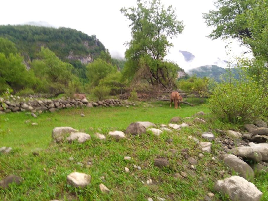 Апартаменты Atico En Pleno Pirineo Эль-Пуэйо-де-Хака Экстерьер фото
